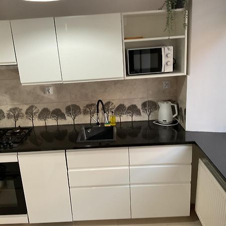 Omorika Na Zamkowej Apartment Krakow Ngoại thất bức ảnh