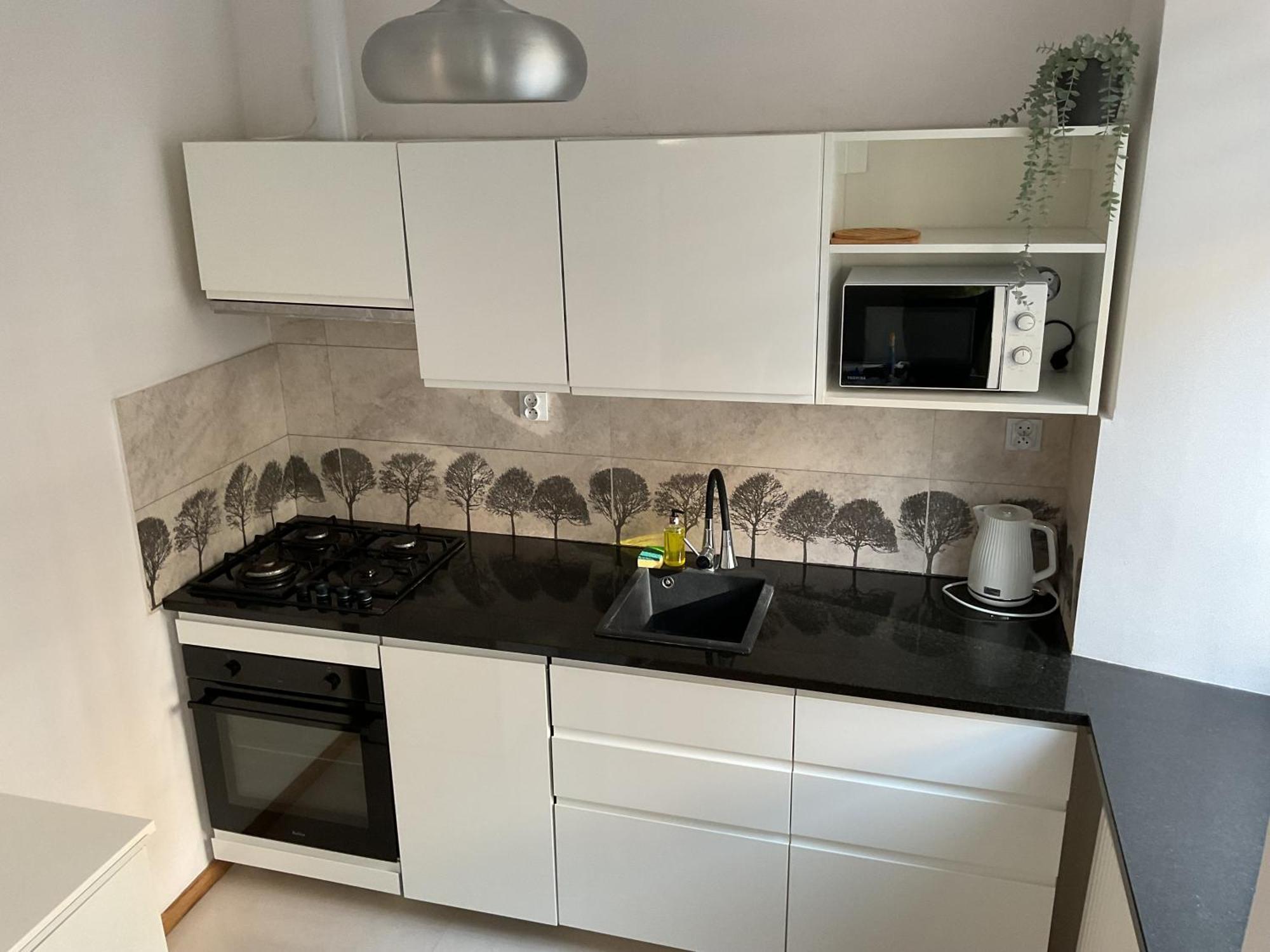 Omorika Na Zamkowej Apartment Krakow Ngoại thất bức ảnh
