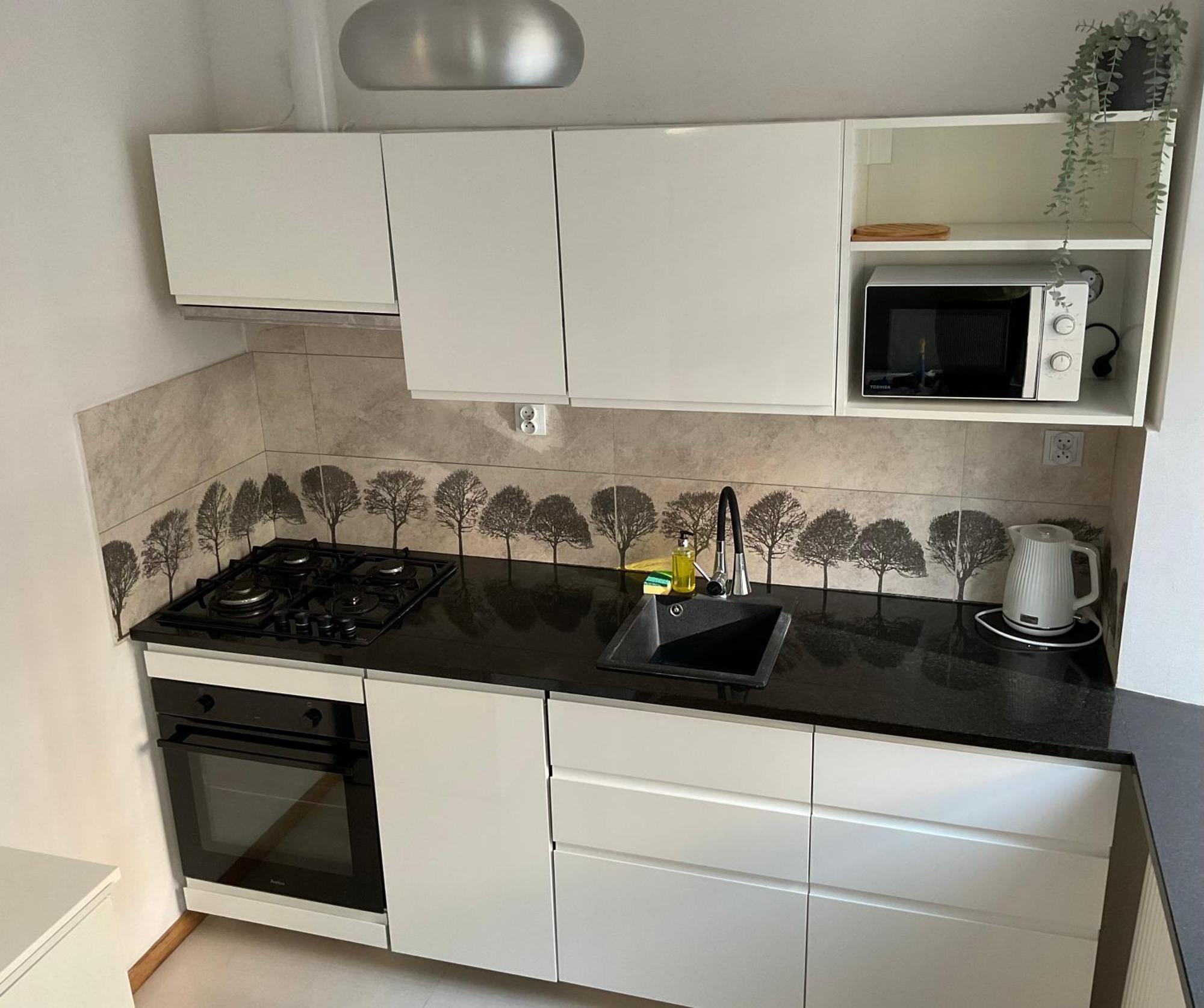 Omorika Na Zamkowej Apartment Krakow Ngoại thất bức ảnh
